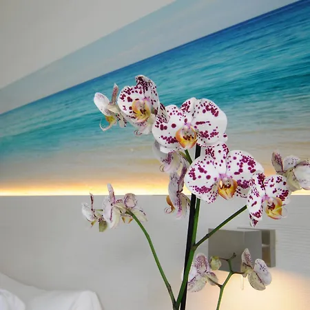 Ipanema Park 3* El Arenal (Mallorca)